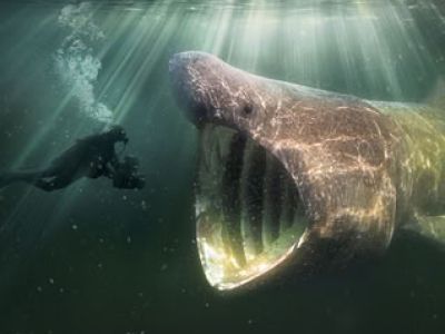Offline Marketing voor beursamateriaal de wilde noordzee 3 Door Smack it